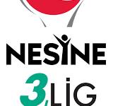 Nesine 3. Lig 1, 2, 3 ve 4. grup 17. hafta maç programı ve güncel puan durumu