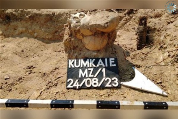 Çanakkale Savaşları'nın 110 yıllık izleri! 