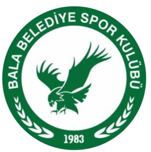 Ankara 1. Amatör Lig Play-off Ligi maçları yarın! Lider Bala Bld Spor, ikinci Pursaklar Bld Spor'la... 