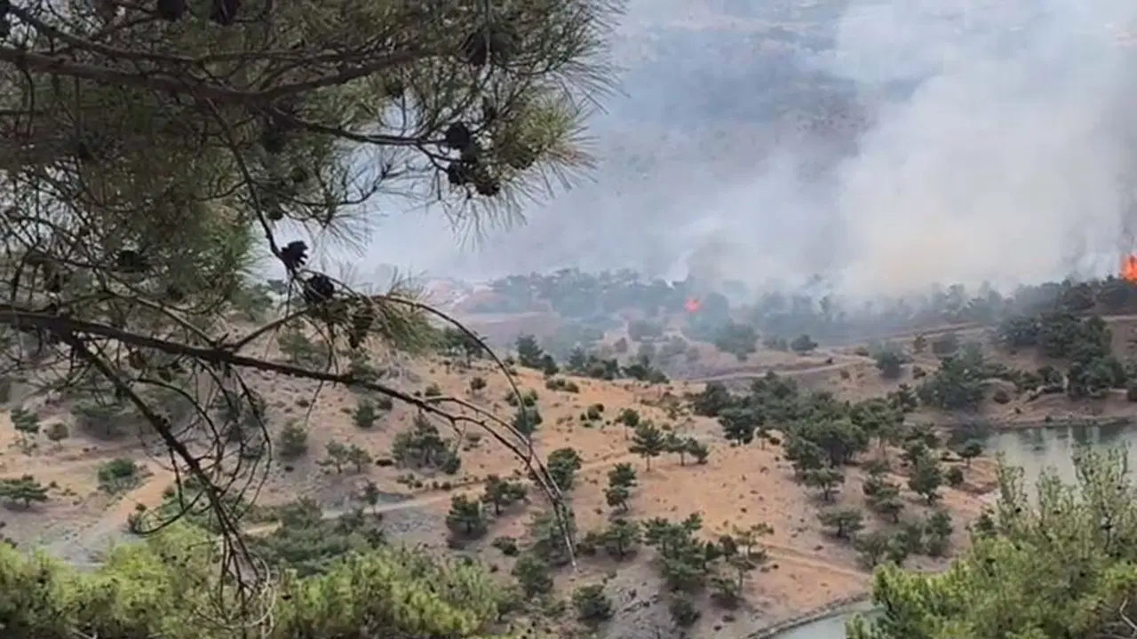 Adıyaman’ın Akçalı Köyü’nde orman yangını: Söndürme çalışması sürüyor!  