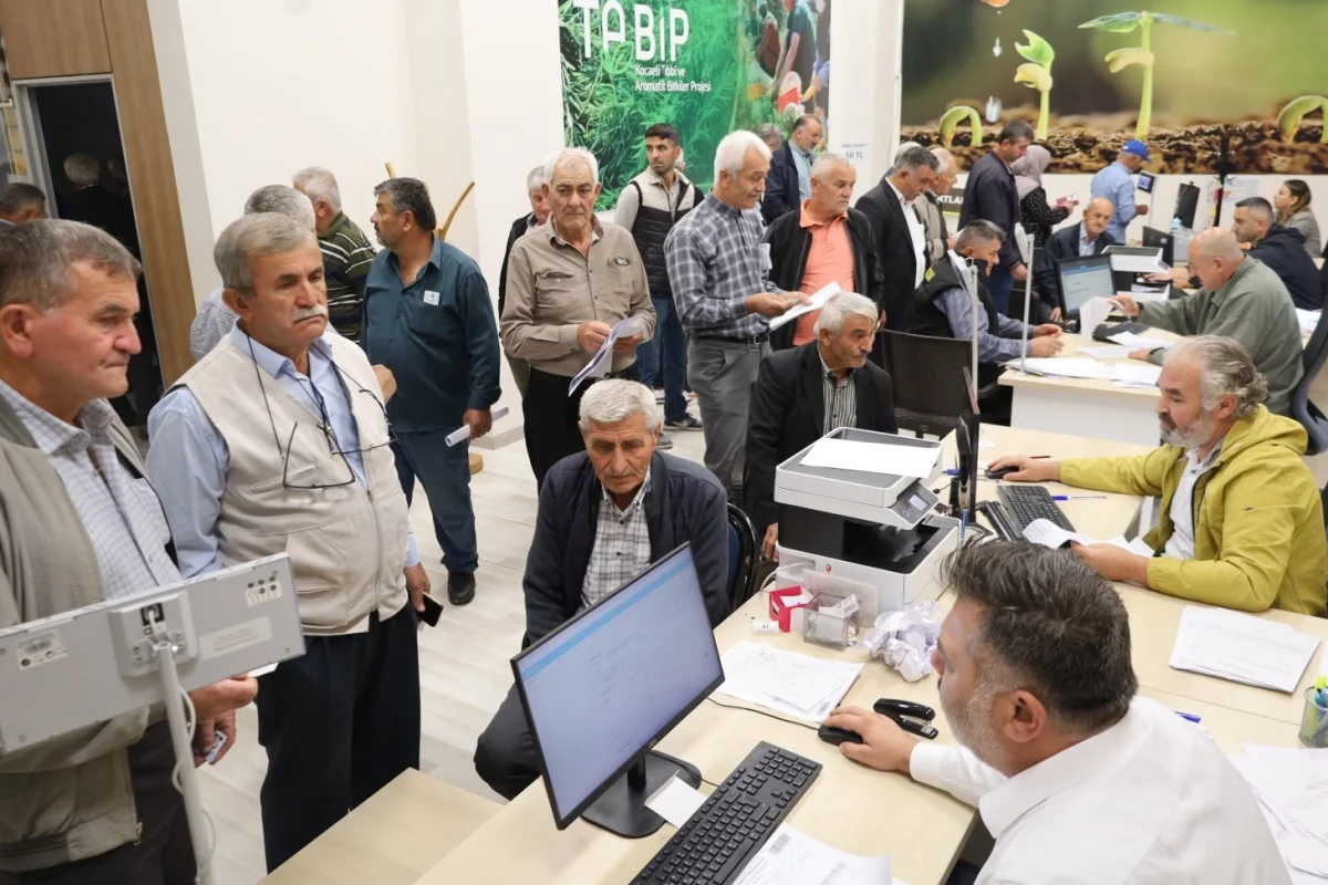 Kocaeli’de yem bitkisi tohum desteğine talep yoğun