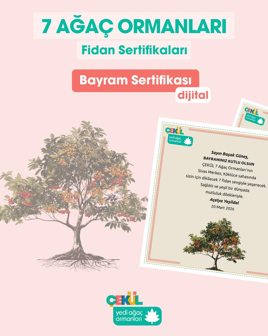 ÇEKÜL Vakfı’ndan sertifika! 