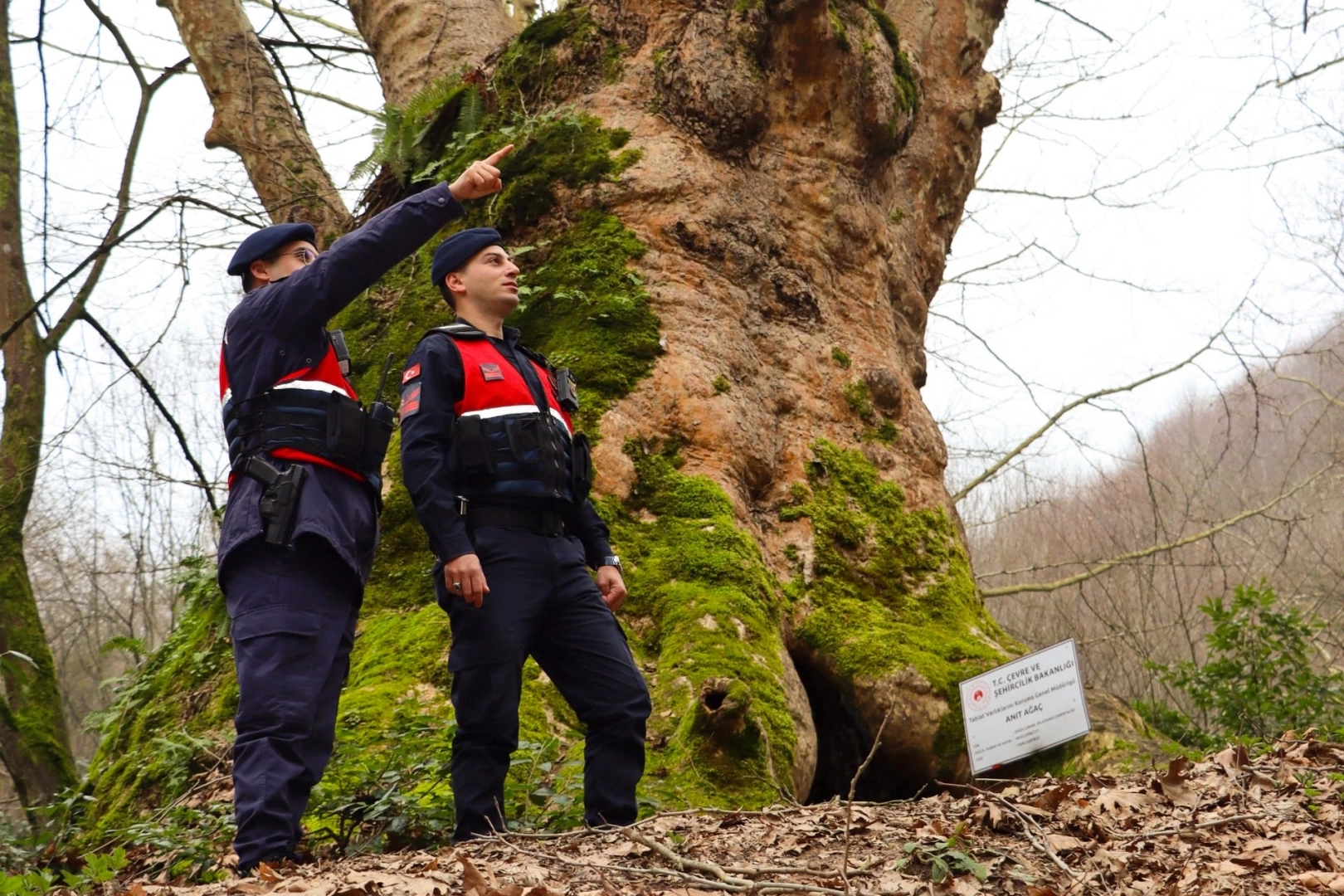 Yalova’da Jandarma, Turizm Bölgelerinde Güvenliği Güçlendirdi