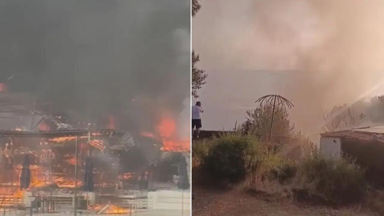 Büyükada'daki plajda çıkan yangın ormana sıçradı, yangın kontrol altında!