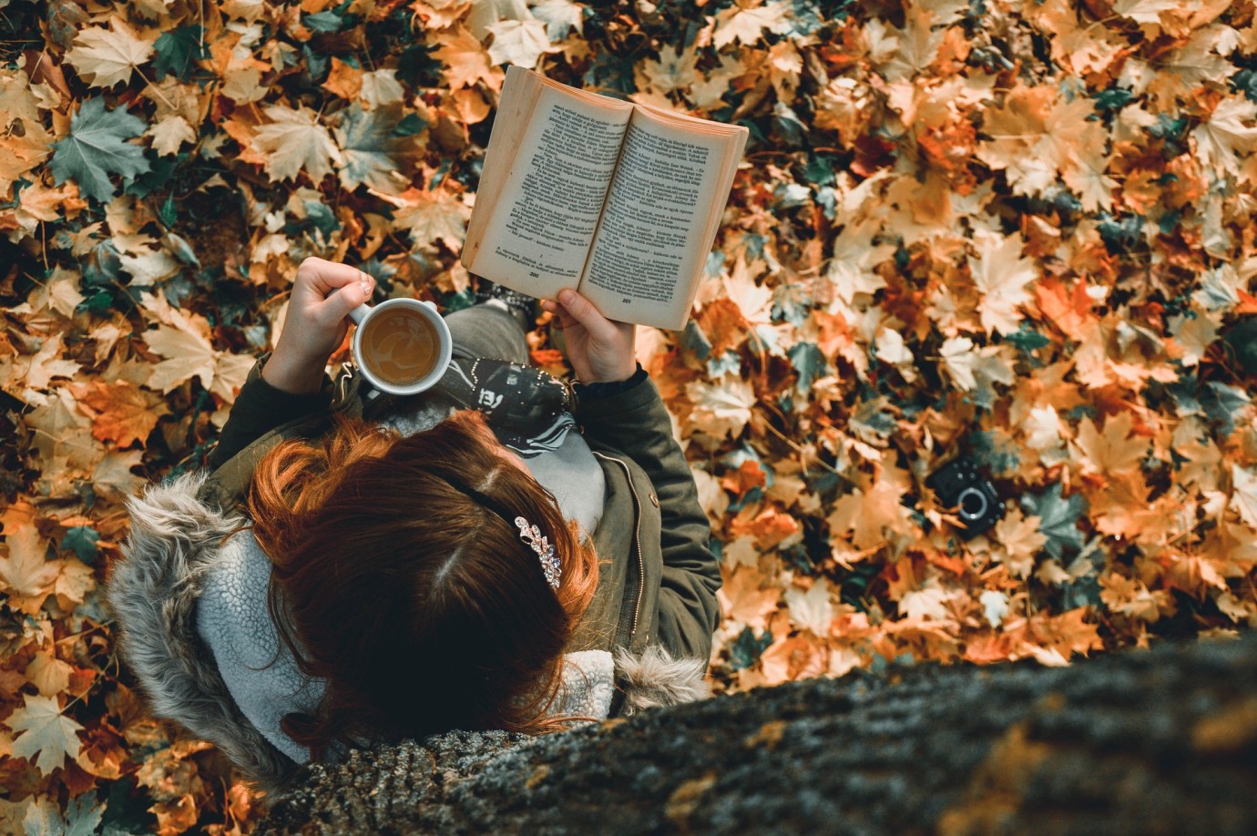 Yazarın kim olduğu kitap hakkında görüşümüzü etkiler mi? - Dr. Burcu Akkaya Telci yazdı...  