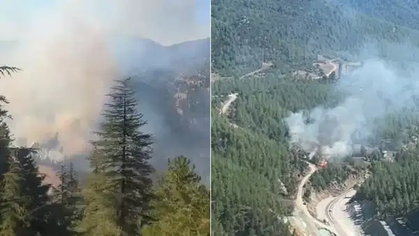 Adana'da iki farklı bölgede orman yangını