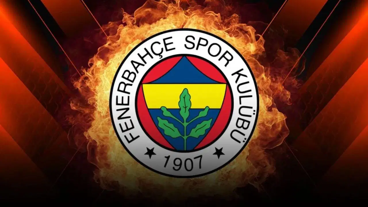 Fenerbahçeli 6 milli boksör Avrupa Boks Şampiyonası'nda yarı finale yükseldi