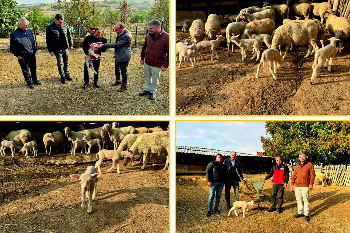 Edirne’de Genç Hayvancılık Üreticisine Destek Ziyareti