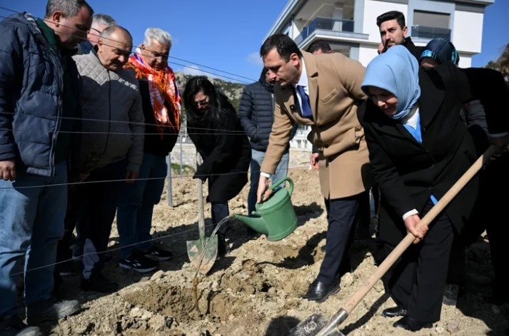 Bornova Misket Üzümü İçin Önemli Adım: İlk Fidanlar Dikildi