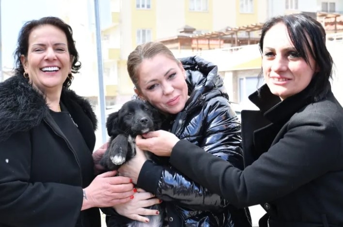 Manisa’da Sokak Hayvanları İçin İş Birliği