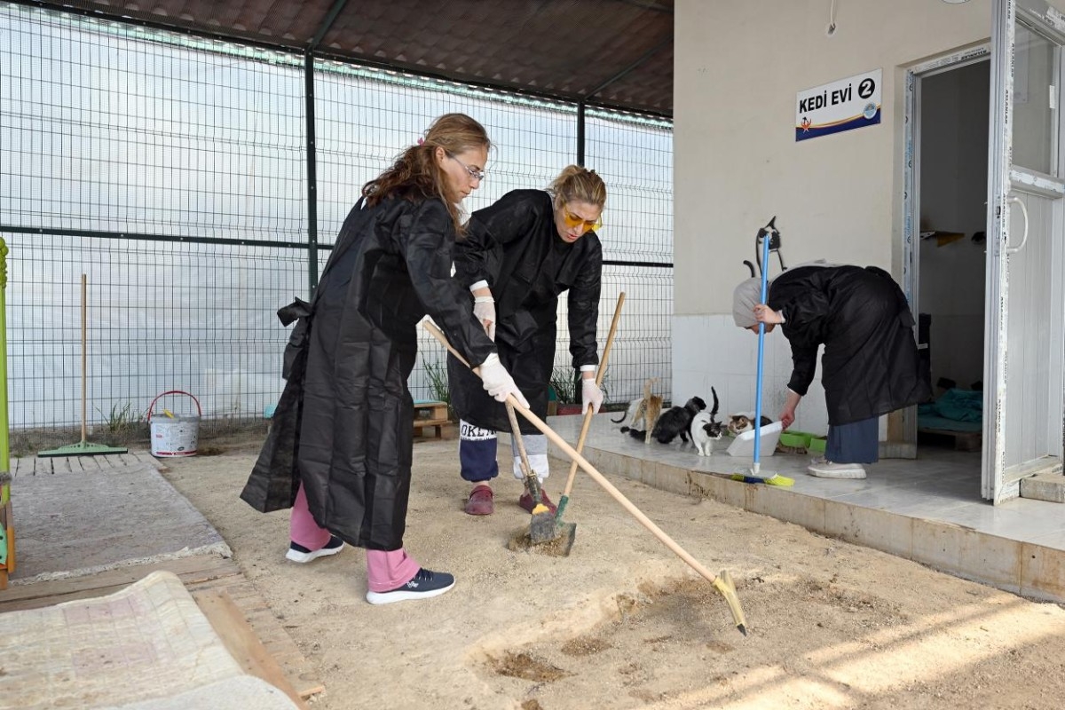 Mersin Büyükşehir ve Gönüllülerden Patili Dostlar İçin Dayanışma