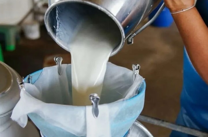 Türkiye’de Süt Üretiminde Artış: Mart Ayında 1 Milyon 15 Bin Ton Toplandı!