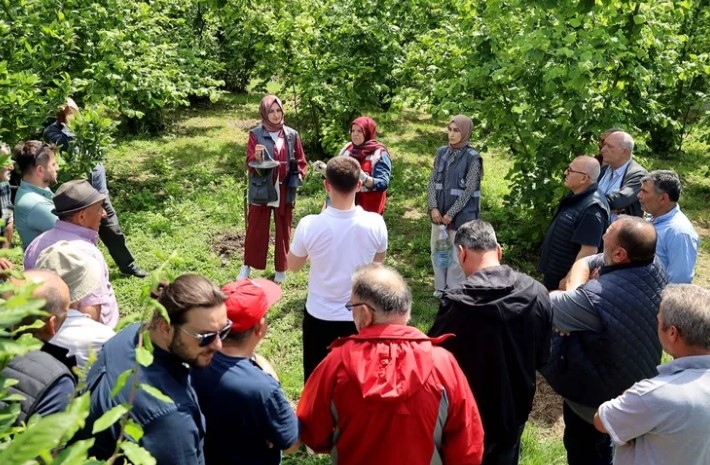 Sakarya’da Çiftçilere Feromon Tuzağı Desteği