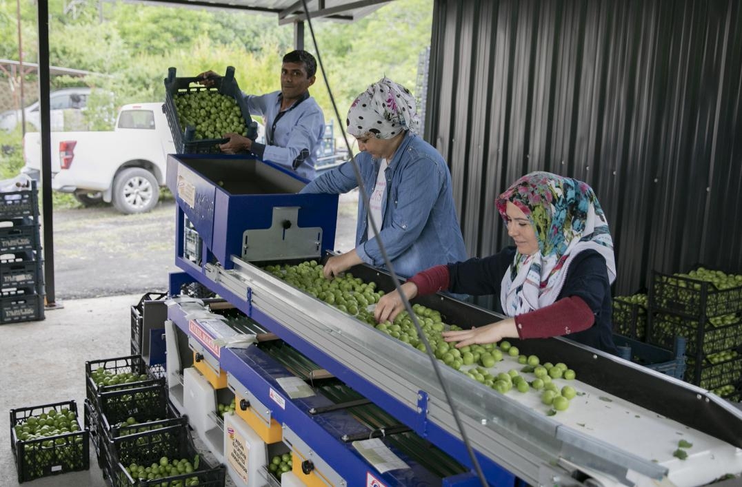 Büyükşehir’in Makine Desteğiyle Üretici Güçleniyor, Kırsal Kalkınıyor