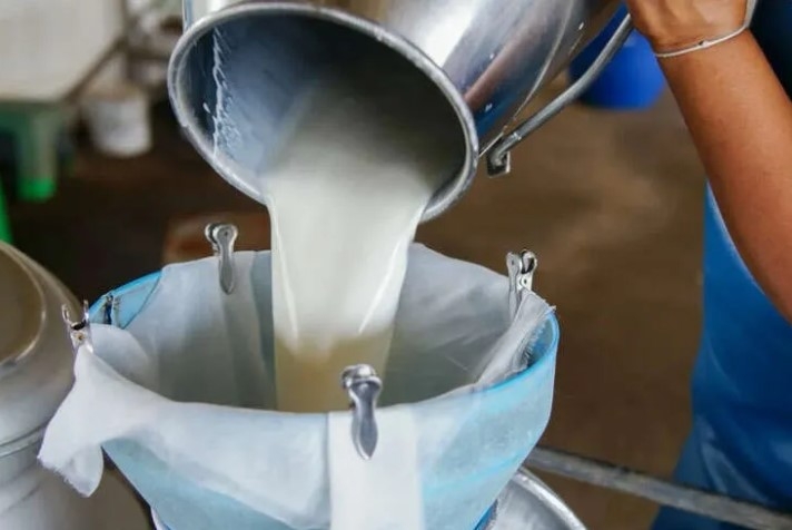 Mayıs Ayında Süt Üretimi Düştü, Ancak Süt Ürünleri Üretimi Yükseldi